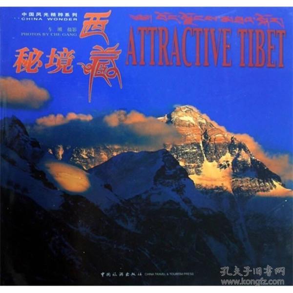 植物大战僵尸5