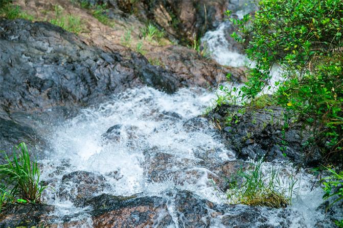 江苏省消保委发布新春消费提示:冰雪旅游谨防低价陷阱